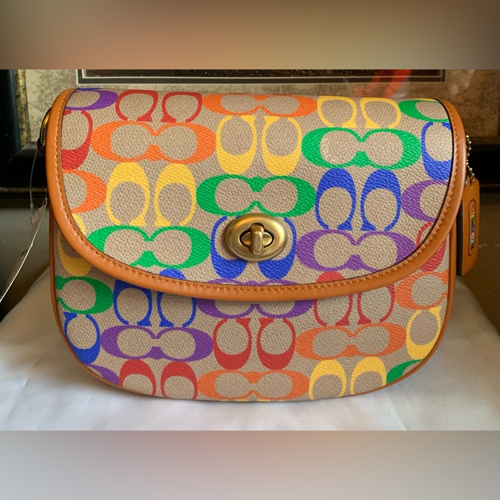 Coach Willow Saddle Bag in Rainbow Signature Canvas.